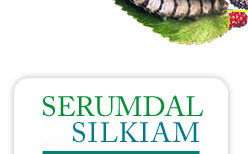 Serumdal y Silkiam